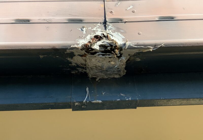Pre-Sale Home Inspections Gladstone