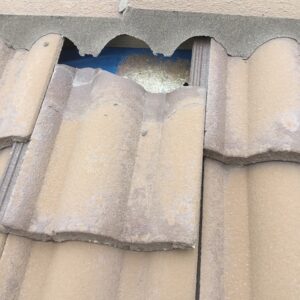 Roof Tile Slip