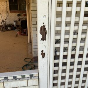 Outdoor Termite & Pest Inspections Gladstone