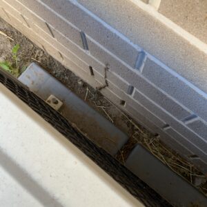 Termite Lead
