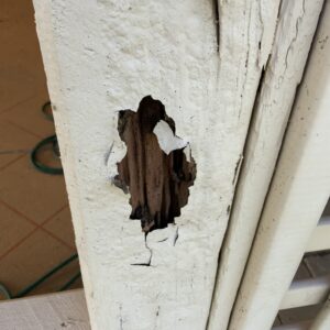 Termite Damage to Patio Post