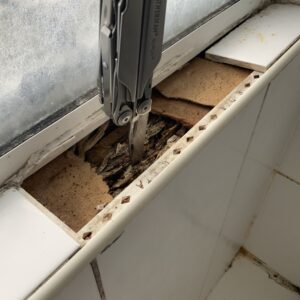 Building Reports & Inspections Gladstone